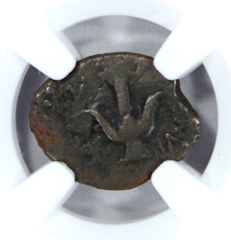 103-76 BC Judaea Alexander Jannaeus AR Prutah, NGC, Obverse enlarged