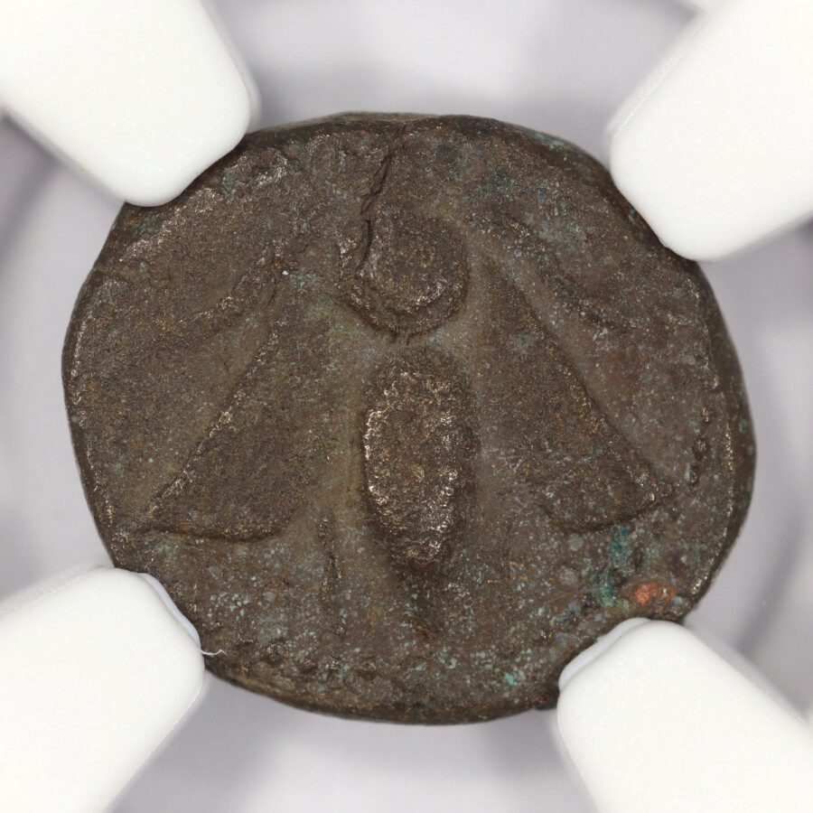 187-175 BC Seleucid (Seleukid, Hellenistic Greece) Seleucus IV (Seleukos IV Philopater) Bronze Chalkon, 1.99g, 12mm NGC Ch F, Obverse - offered by Palos Verdes Coin Exchange