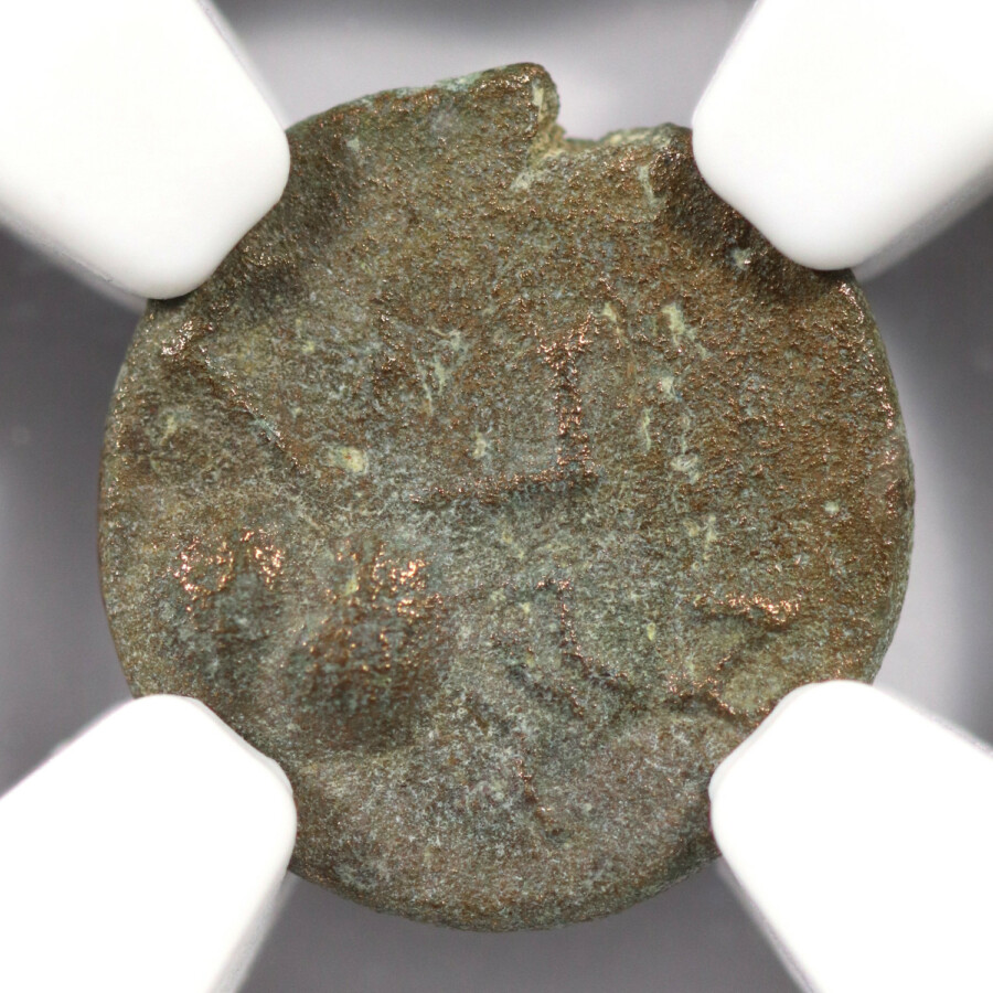 c. 2nd C AD Mesopotamia, Carrhae AE Crab, NGC Ch VF, Obverse - offered by Palos Verdes Coin Exchange